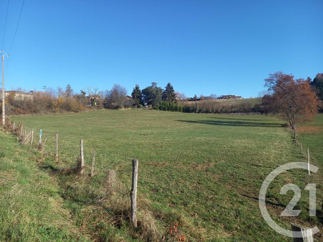 Terrain à vendre - 25845 m2 - Montrejeau - 31 - MIDI-PYRENEES