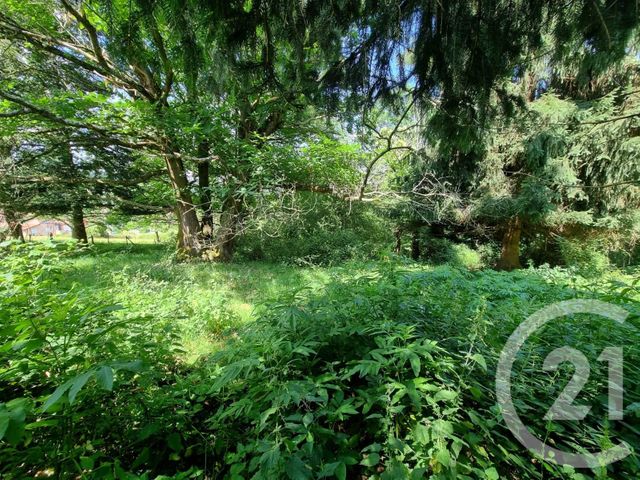 Terrain à vendre - 2500 m2 - Encausse Les Thermes - 31 - MIDI-PYRENEES