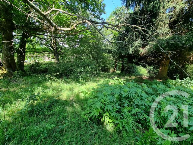 Terrain à vendre - 2500 m2 - Encausse Les Thermes - 31 - MIDI-PYRENEES