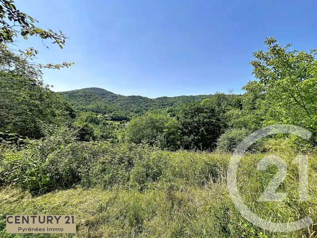 Maison &agrave; vendre - 8 pi&egrave;ces - 174,35 m2 - Sengouagnet - 31 - MIDI-PYRENEES