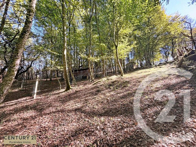 Maison à vendre - 5 pièces - 168 m2 - Arbon - 31 - MIDI-PYRENEES