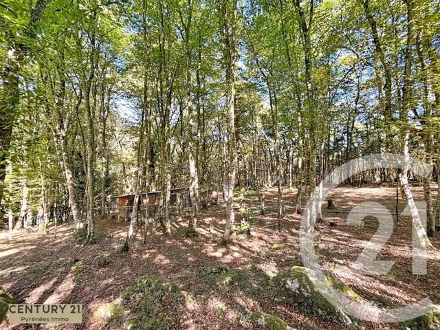 Maison à vendre - 5 pièces - 168 m2 - Arbon - 31 - MIDI-PYRENEES