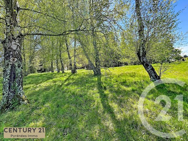 Terrain &agrave; vendre - 2445 m2 - St Gaudens - 31 - MIDI-PYRENEES
