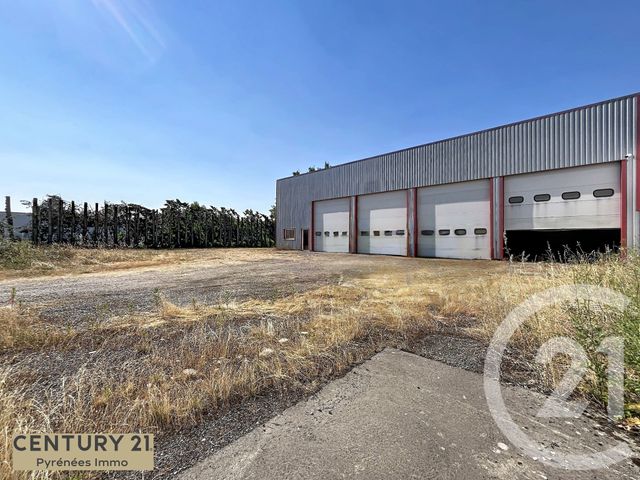 Divers &agrave; vendre - 500 m2 - Landorthe - 31 - MIDI-PYRENEES