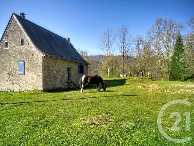 Maison &agrave; vendre - 9 pi&egrave;ces - 227,90 m2 - Erce - 09 - MIDI-PYRENEES