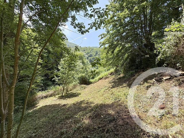 Maison à vendre - 2 pièces - 74 m2 - Bethmale - 09 - MIDI-PYRENEES