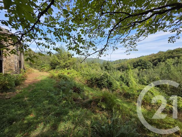 Maison à vendre - 1 pièce - 87,04 m2 - Illartein - 09 - MIDI-PYRENEES