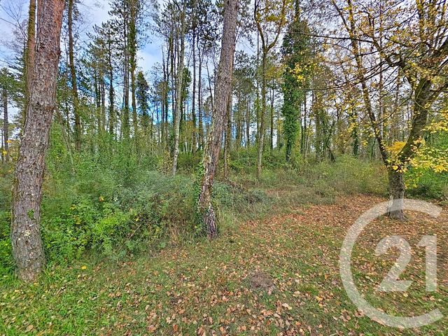 Terrain à vendre MONTJOIE EN COUSERANS