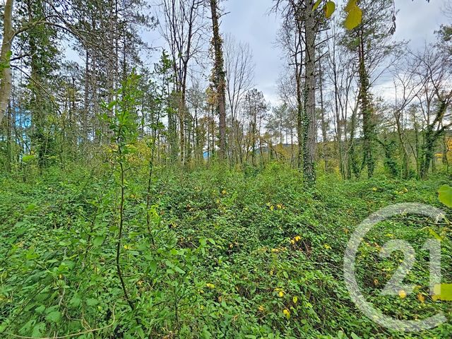 Terrain à vendre - 45093 m2 - Montjoie En Couserans - 09 - MIDI-PYRENEES