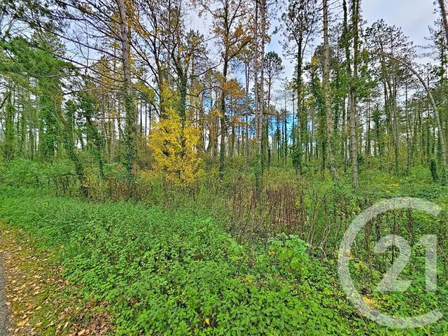 Terrain à vendre - 45093 m2 - Montjoie En Couserans - 09 - MIDI-PYRENEES