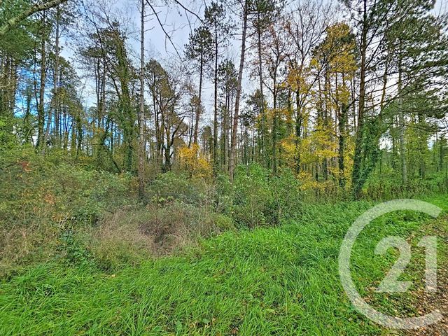 Terrain à vendre - 45093 m2 - Montjoie En Couserans - 09 - MIDI-PYRENEES