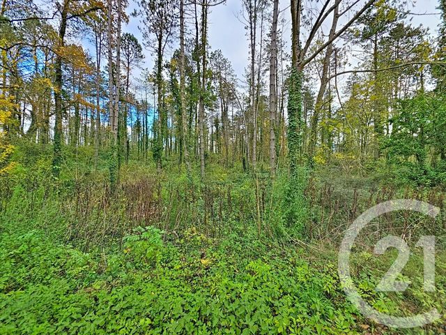 Terrain à vendre - 45093 m2 - Montjoie En Couserans - 09 - MIDI-PYRENEES