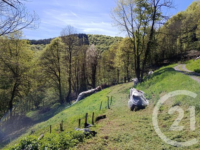 Maison &agrave; vendre - 3 pi&egrave;ces - 100 m2 - Aleu - 09 - MIDI-PYRENEES