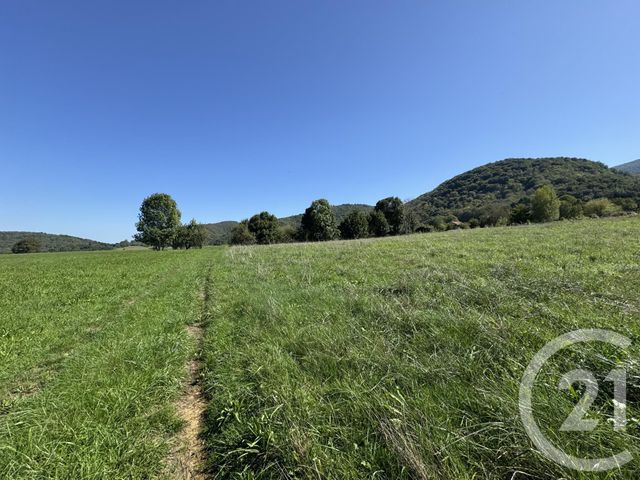 Terrain &agrave; vendre - 4450 m2 - Saleich - 31 - MIDI-PYRENEES