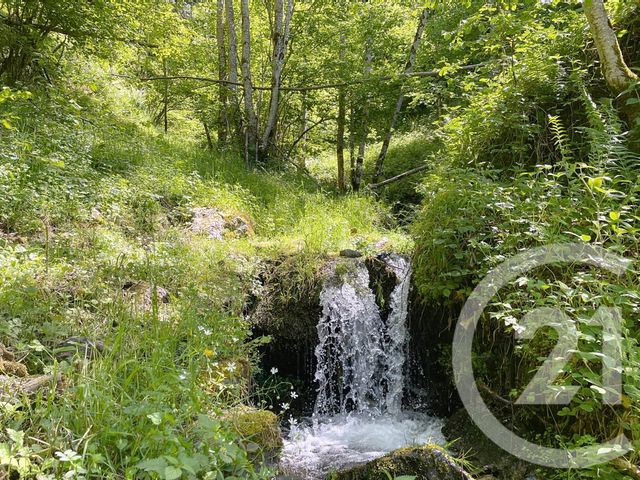 Maison &agrave; vendre - 2 pi&egrave;ces - 40 m2 - Le Port - 09 - MIDI-PYRENEES