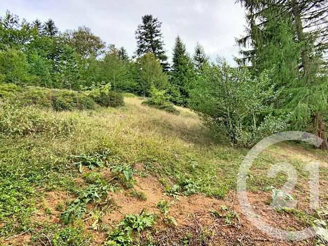 Maison &agrave; vendre - 5 pi&egrave;ces - 124,40 m2 - Ustou - 09 - MIDI-PYRENEES