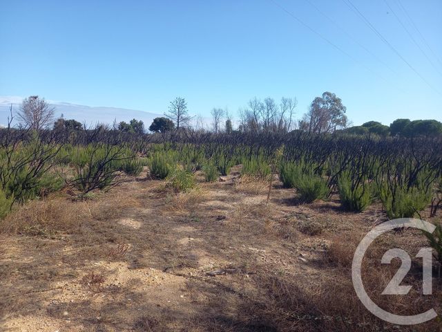 Terrain &agrave; vendre - 3720 m2 - Argeles Sur Mer - 66 - LANGUEDOC-ROUSSILLON