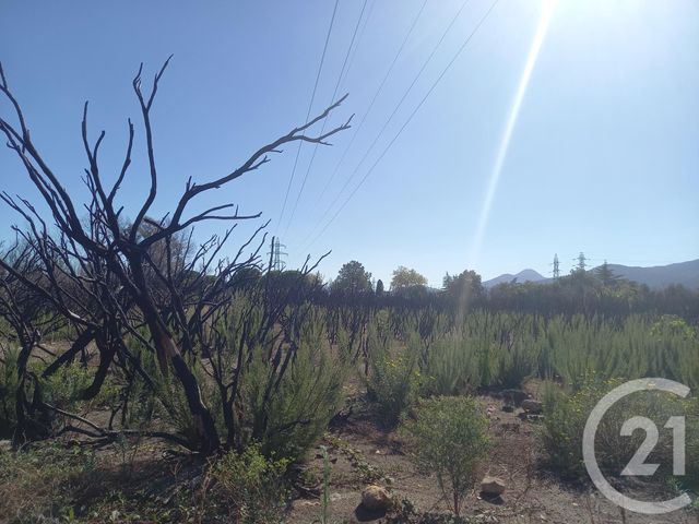 Terrain &agrave; vendre - 3720 m2 - Argeles Sur Mer - 66 - LANGUEDOC-ROUSSILLON