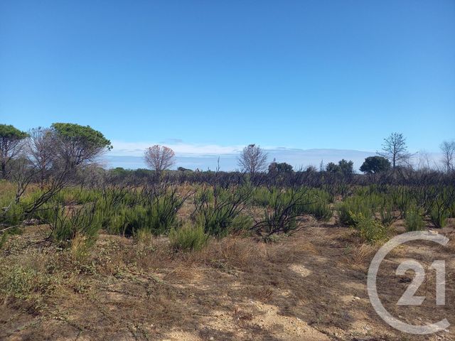 Terrain &agrave; vendre - 3720 m2 - Argeles Sur Mer - 66 - LANGUEDOC-ROUSSILLON