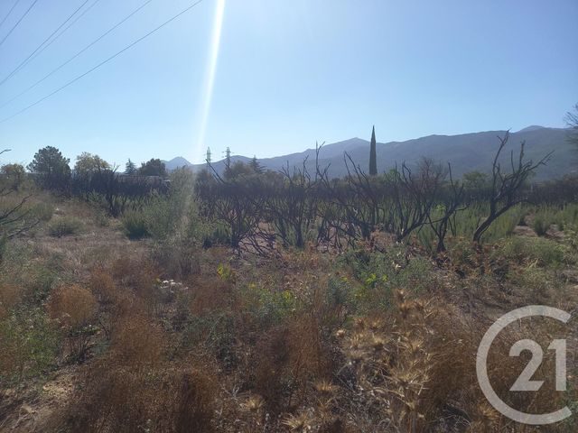 Terrain &agrave; vendre - 3720 m2 - Argeles Sur Mer - 66 - LANGUEDOC-ROUSSILLON