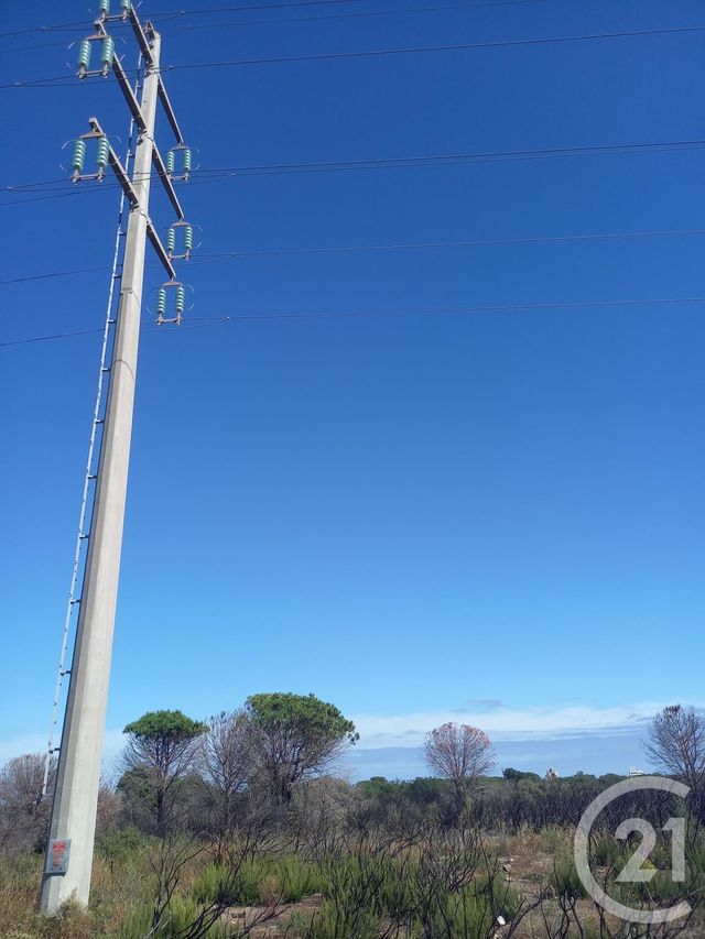 Terrain &agrave; vendre - 3720 m2 - Argeles Sur Mer - 66 - LANGUEDOC-ROUSSILLON