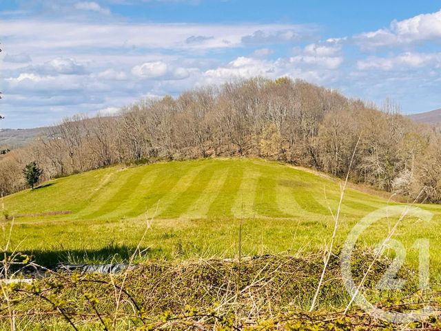 Maison à vendre - 10 pièces - 242,38 m2 - Betchat - 09 - MIDI-PYRENEES