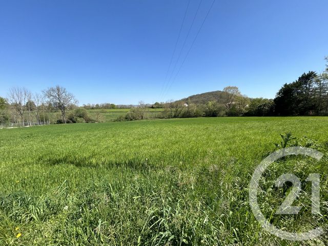 Terrain à vendre - 10815 m2 - Montsaunes - 31 - MIDI-PYRENEES