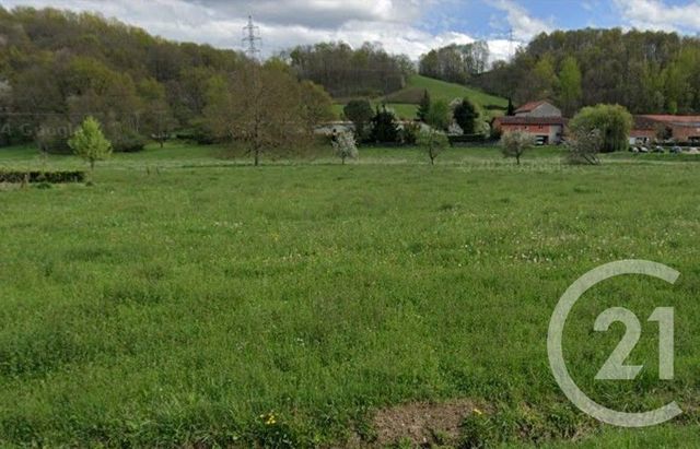 Terrain à vendre - 10149 m2 - Mane - 31 - MIDI-PYRENEES