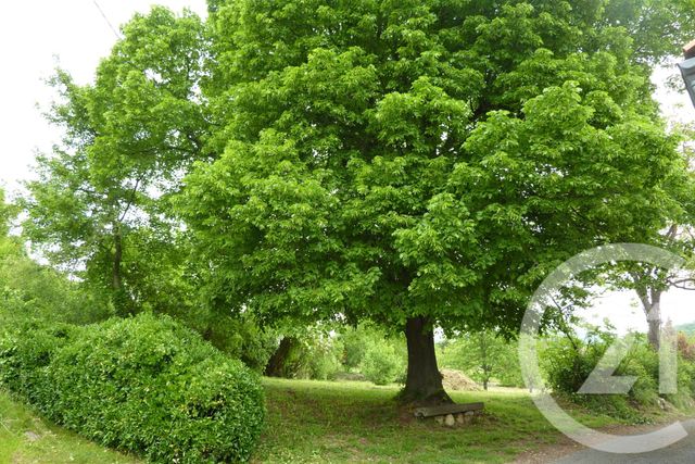 Terrain à vendre - 1901 m2 - Laffite Toupiere - 31 - MIDI-PYRENEES