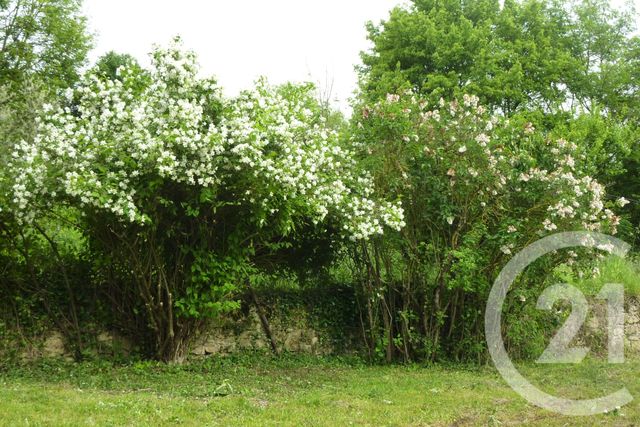 Terrain à vendre - 1901 m2 - Laffite Toupiere - 31 - MIDI-PYRENEES