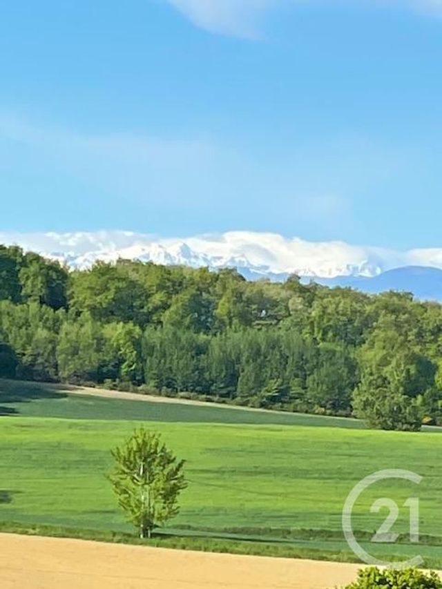Terrain à vendre - 5405 m2 - SEPX - 31 - MIDI-PYRENEES Terrain à vendre - 5405 m2 - SEPX - 31 - MIDI-PYRENEES