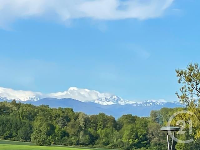 Terrain à vendre - 5405 m2 - SEPX - 31 - MIDI-PYRENEES Terrain à vendre - 5405 m2 - SEPX - 31 - MIDI-PYRENEES