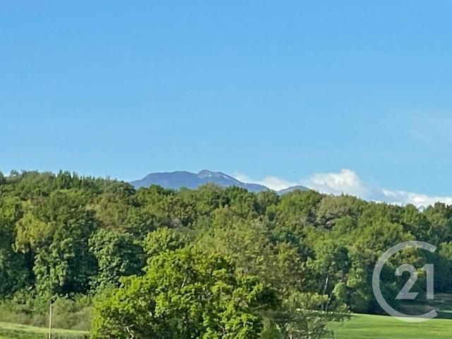 Terrain à vendre - 5405 m2 - SEPX - 31 - MIDI-PYRENEES Terrain à vendre - 5405 m2 - SEPX - 31 - MIDI-PYRENEES
