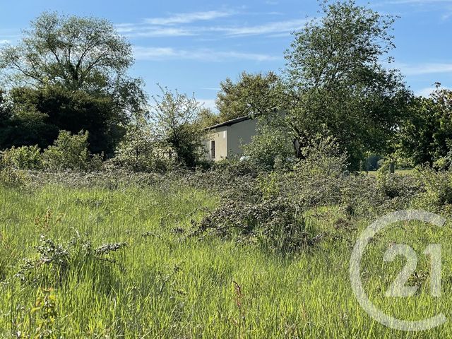 Terrain à vendre - 5405 m2 - SEPX - 31 - MIDI-PYRENEES Terrain à vendre - 5405 m2 - SEPX - 31 - MIDI-PYRENEES