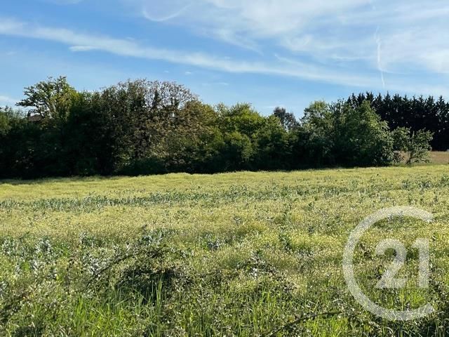 Terrain à vendre - 5405 m2 - SEPX - 31 - MIDI-PYRENEES Terrain à vendre - 5405 m2 - SEPX - 31 - MIDI-PYRENEES