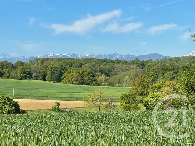 Terrain à vendre - 5405 m2 - SEPX - 31 - MIDI-PYRENEES Terrain à vendre - 5405 m2 - SEPX - 31 - MIDI-PYRENEES