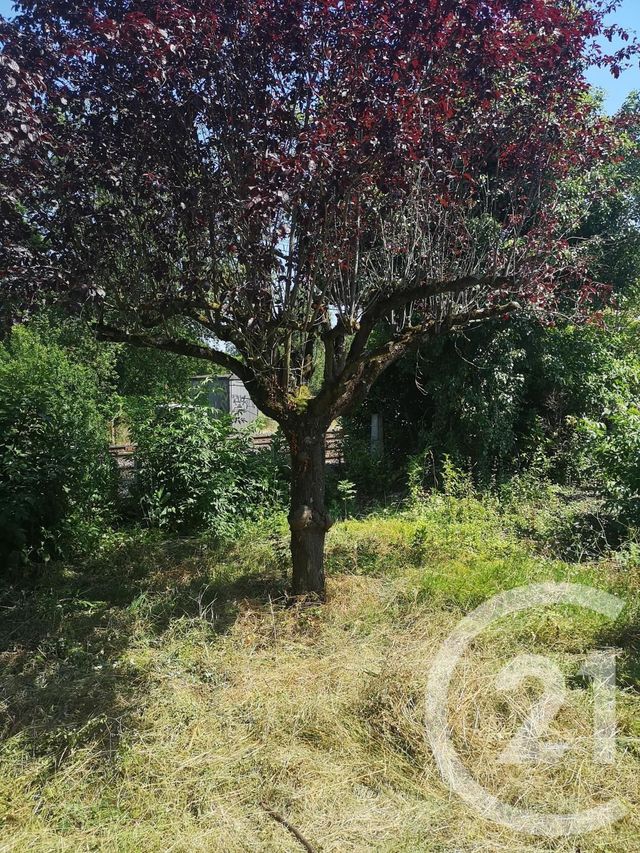 Maison à vendre - 6 pièces - 207,45 m2 - ROQUEFORT SUR GARONNE - 31 - MIDI-PYRENEES Maison à vendre - 6 pièces - 207,45 m2 - ROQUEFORT SUR GARONNE - 31 - MIDI-PYRENEES