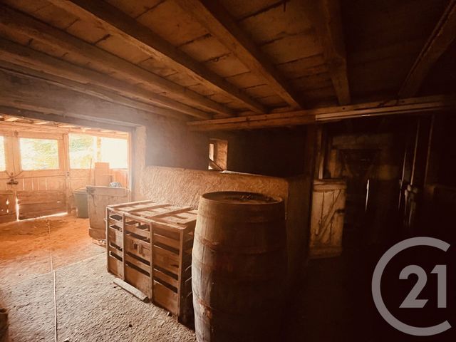 Maison à vendre - 5 pièces - 250,02 m2 - Figarol - 31 - MIDI-PYRENEES