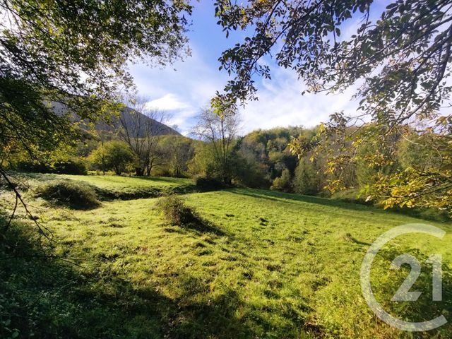 Terrain à vendre - 10490 m2 - Fougaron - 31 - MIDI-PYRENEES